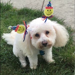 Meet your Posher, Kim